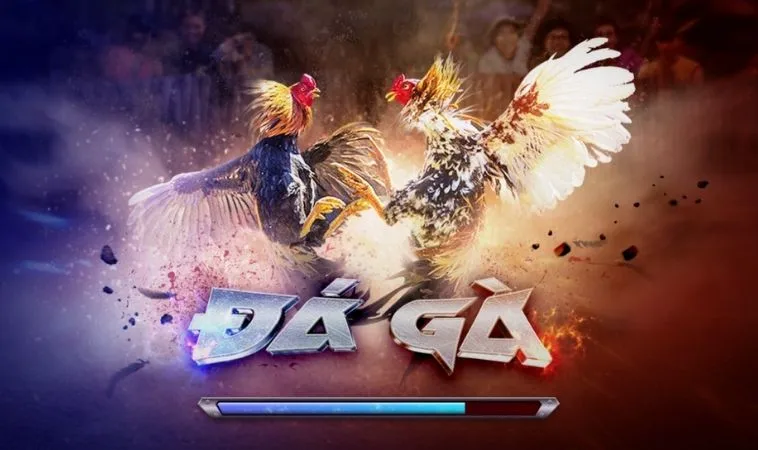 Chinh Phục Đá Gà 3D 123Win Rinh Thưởng Cực Đỉnh Ngay Hôm Nay 1 Đá Gà 3D 123Win