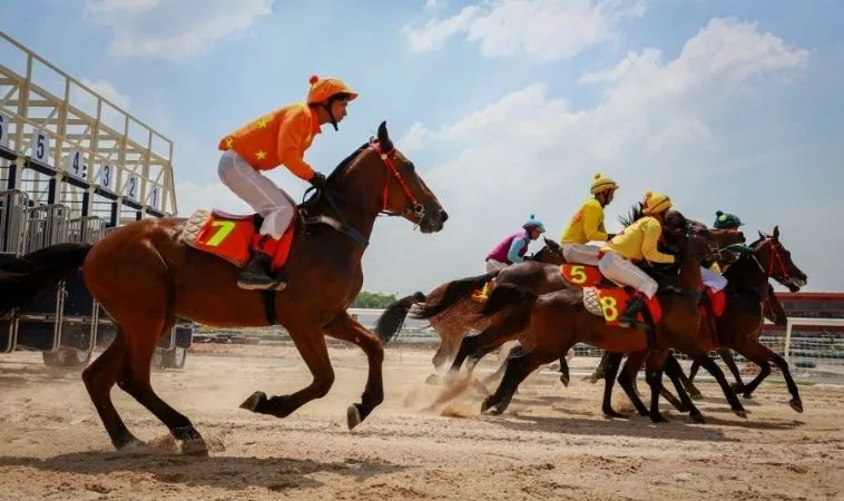 Khám Phá Cá Cược Đua Ngựa 123Win Để Chinh Phục Mọi Đường Đua 1 đua ngựa 123Win
